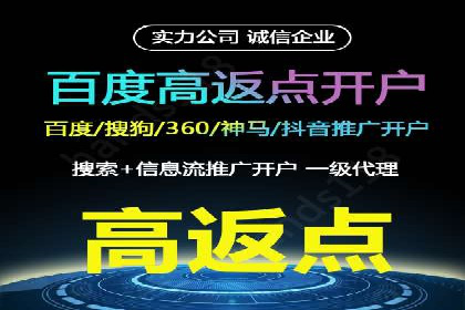 信息流广告投放公司案例分析报告